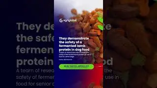 They demonstrate the safety of a fermented lamb protein in dog food.