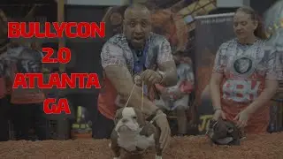 BBK CARMELO PULLS OUT SOME FIRE EXOITC BULLS AT THE BULLYCON 2.O IN ATLANTA GA