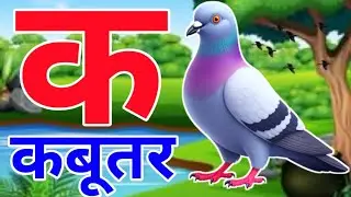 क से कबूतर,अ से अनार a se anaar k se kabutar | Hindi varnmala | ABCD क से कबूतर अ से अनार, kabutar |