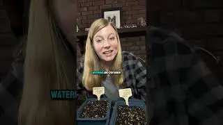 Do You Really Need  Microgreens Seeds? (Experiment Update)