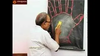 PALMISTRY LESSON PART   59