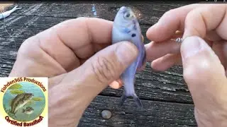 These Tips Will Save You Money and Catch More Fish!