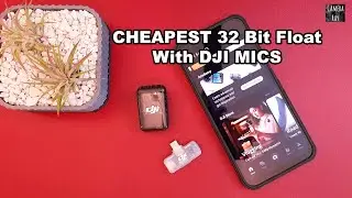 Cheapest DJI Mic 32 Bit Float Recording With Wireless Receiver for Mobile Phones