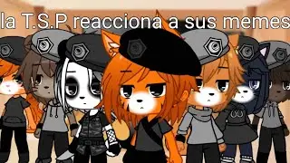 la T.S.P reacciona a sus memes