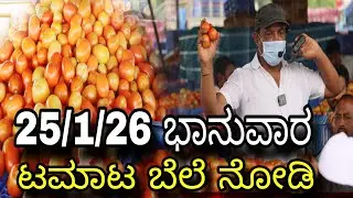Today's tomato rate in cmr market kolar namaste 