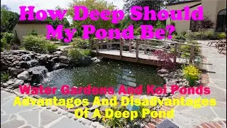 How Deep Should My Pond Be?