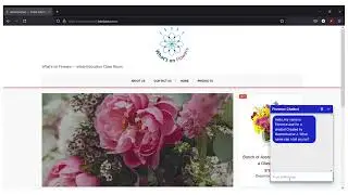 IBM Watson assistant - Florence chatbot