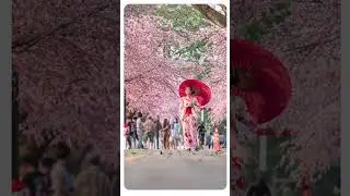 Japan isn&rsquo;t what you expect. That&rsquo;s the magic.