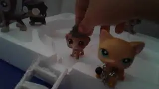 Lps :It'sGoin' Down