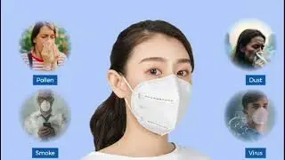 N95 Ear Loop Face Mask