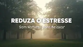 Som Calmante para Reduzir Estresse | Relaxamento Natural