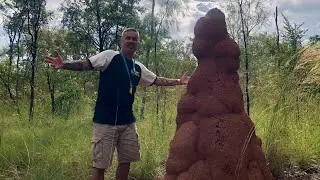TRAVEL: Kalkarindji to Katherine (a few clips)