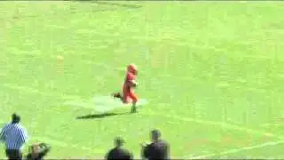 Alexk Football Gators TD3