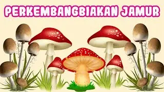 Cara Berkembang Biak Jamur (Fungi)
