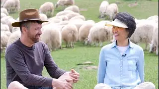 An ingenious way to balance grassland ecology and livestock farming