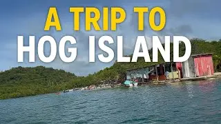 Hog island water taxi Ride🇬🇩