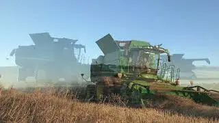 Agland in the Field   Harvest 2018