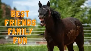 Welcome to Family Fun | DIY, Quarantine Crafts, Animal Videos and More!