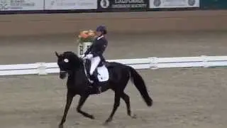 Sandros Ace & Sandy Gardner - FEI Freestyle Test of Choice - Evening Of Musical Freestyles 2015