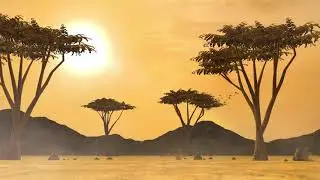 The Light Of Setting Sun(Composed By Yang Zhang)
