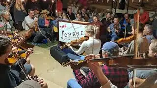 Pembroke Fiddle Festival 2024 - Clip #2