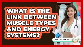 What Is The Link Between Muscle Types And Energy Systems? - Smart Steps to Wellness
