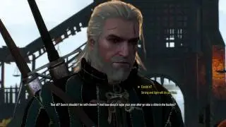 The Witcher 3: Wild Hunt - Crow's Nest: Fergus Graem & Yoana Introduction Dialogue Trees Sequence