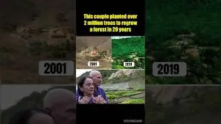 This Couple planted 2 million trees which became a forest in 20 years