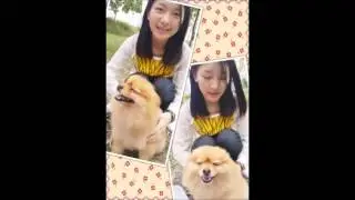 翻唱 龍捲風