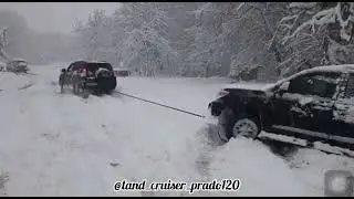 Prado on ice