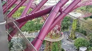 Supertree Observatory View on OCBC Skyway, Marina Bay, Gardens By The Bay Conservatories, March 2024