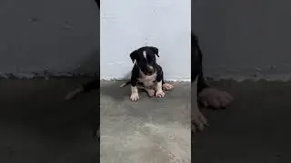 Tupan andando de r&eacute; kkkkkkk