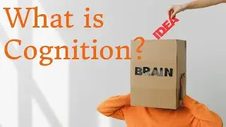 WHAT IS COGNITION? EXPLAINED IN 5 MINS