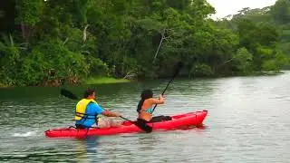 Gatun Lake Kayak and Eco Adventure, Colon, Panama
