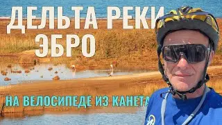 Природный парк Дельта дель Эбро | Здесь самая полноводная река в Испании впадает в Средиземное море