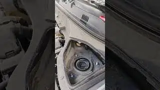 change strut 2019 kona