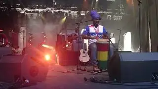 KUSH MCANUFF  Black to I roots