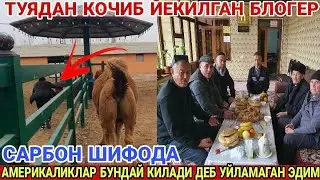 САРБОН ШИФОДА СОЛА СОЛ БОШЛАНДИ АМЕРИКАЛИКЛАР КИЛГАН ИШНИ КУРИНГ 2024(Охунов тв)