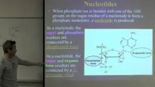 Nucleic Acids and Genomics  Dr  Zoval Allied Health, General, Organic, Biochemistry Course