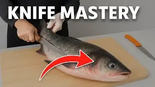 Bighead Fish Fillet and Skin Removal | Clean Cut with Sharp Knife