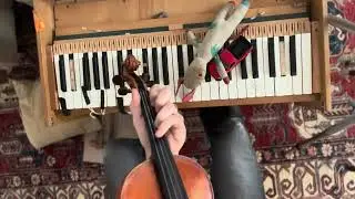 Coon Dog - Joseph Decosimo fiddle and pump organ chord prototype