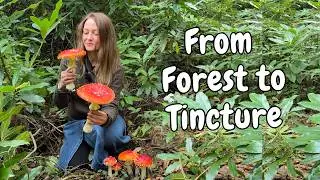 Making a Topical Amanita Muscaria Tincture for Joint & Nerve Pain