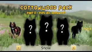 Cottonwood Pack - Pups All Grown Up! - Part 2 | WolfQuest AE