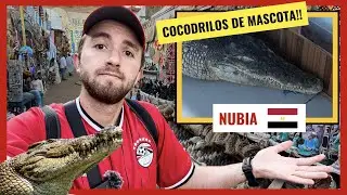 COCODRILOS DEL NILO COMO MASCOTA 🐊  | 📍 NUBIA - EGIPTO 🇪🇬