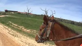 Excursi&oacute; a cavall pel Matarranya Queretes