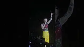 Harry Styles 