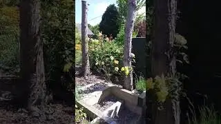 Sleeper retaining wall and steps part 3