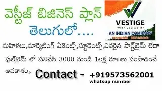 Vestige Business ఎలా మొదలుపెట్టాలి ? Zero to Start Bussiness