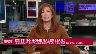 Existing home sales in January fall 4.9%