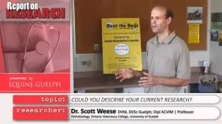 Disease Prevention for Horse Farms (Biosecurity) - Dr Scott Weese - Report on Research